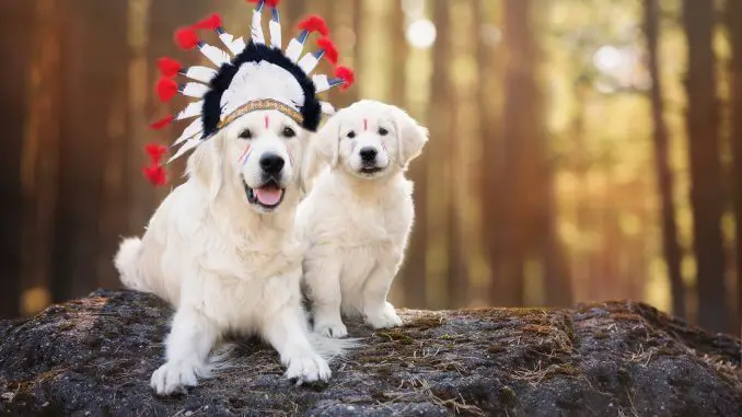 Native American Dog Names (Complete List of 300+ Meaningful Names) Cover