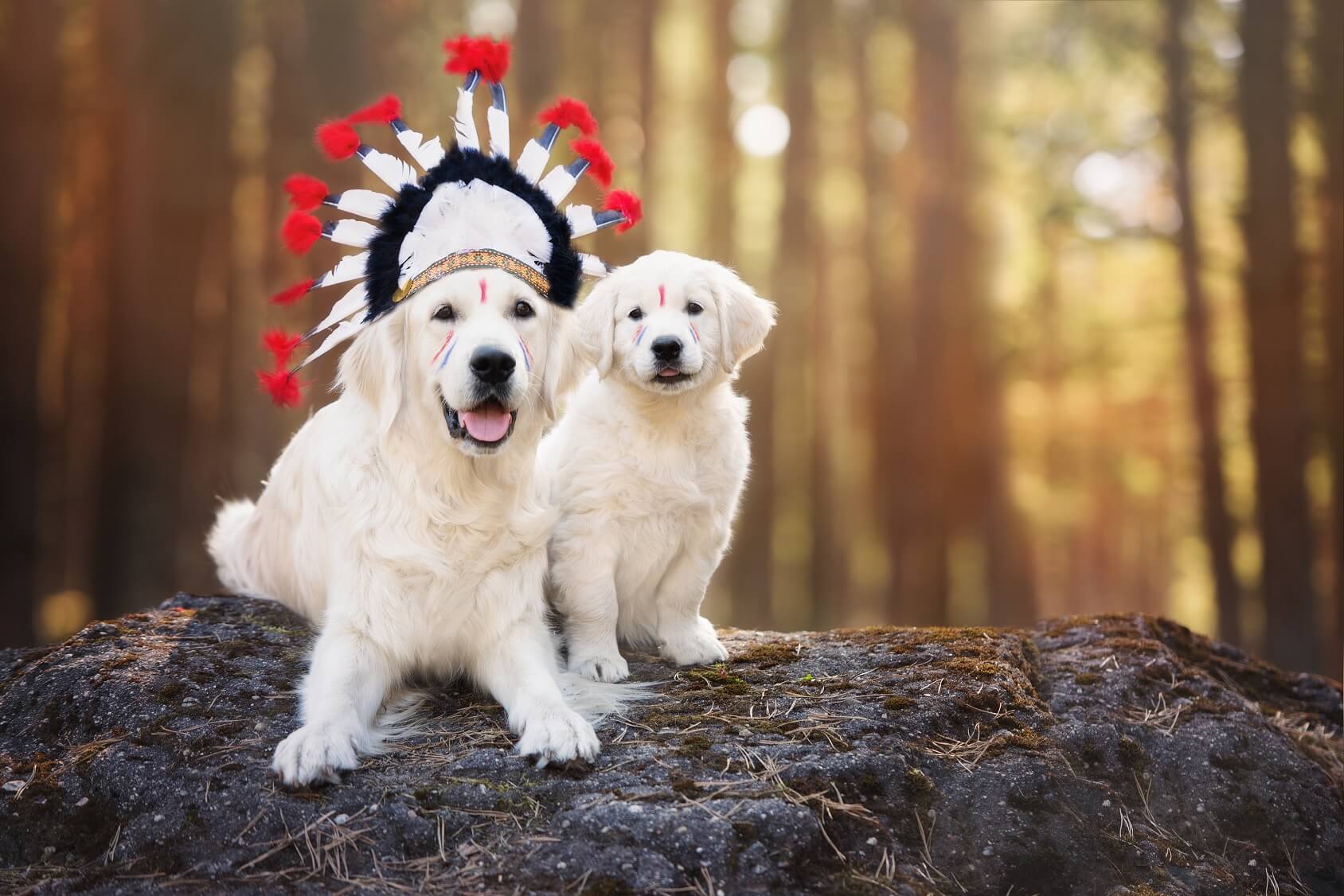 Native American Dog Names Complete List Of 300 Meaningful Names Perfect Dog Breeds