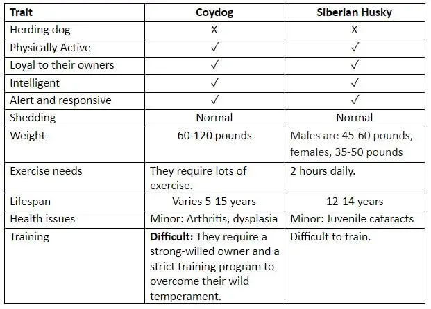 Coydog vs. Siberian Husky Table