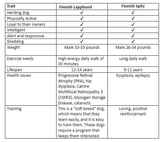 Finnish Lapphund vs. Finnish Spitz Table