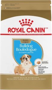 Royal Canin Bulldog Puppy Dry Dog Food
