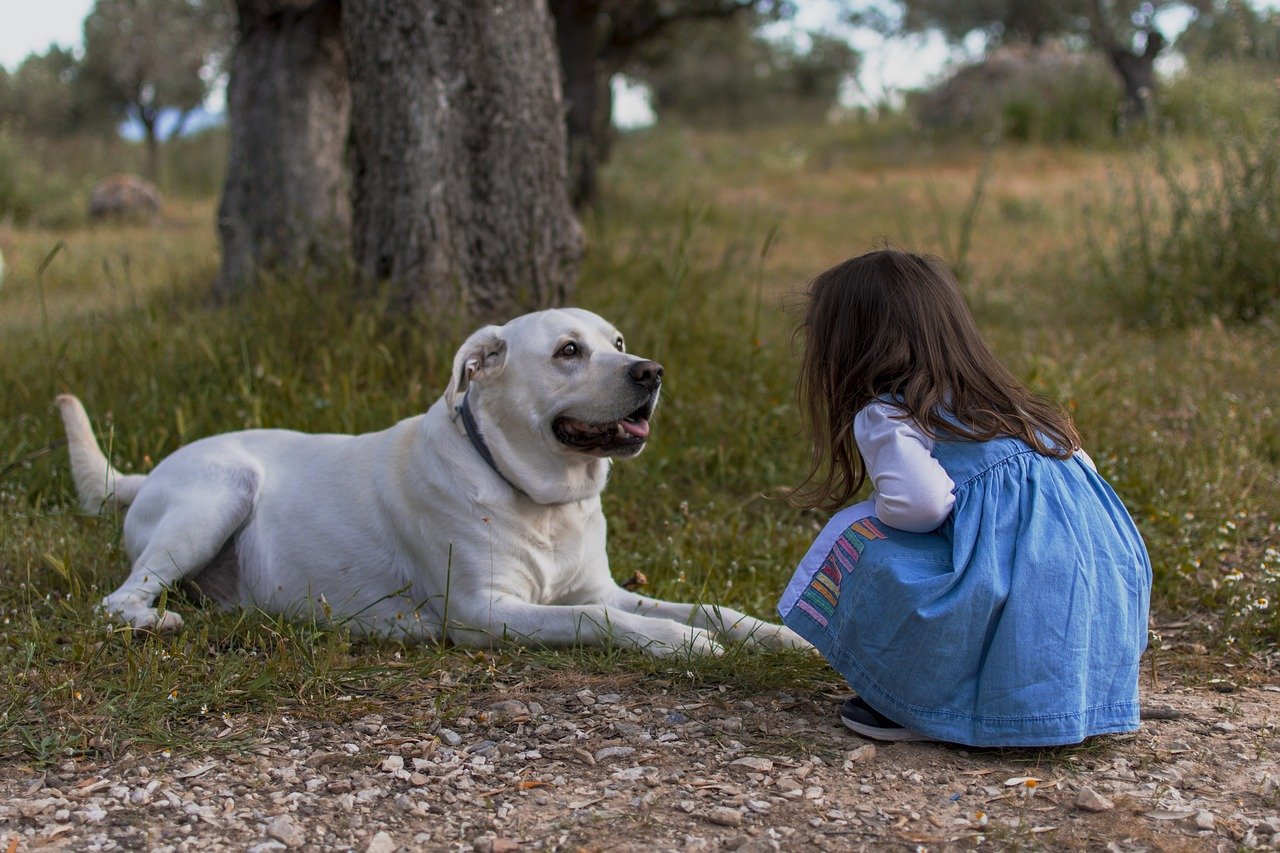 best family dogs