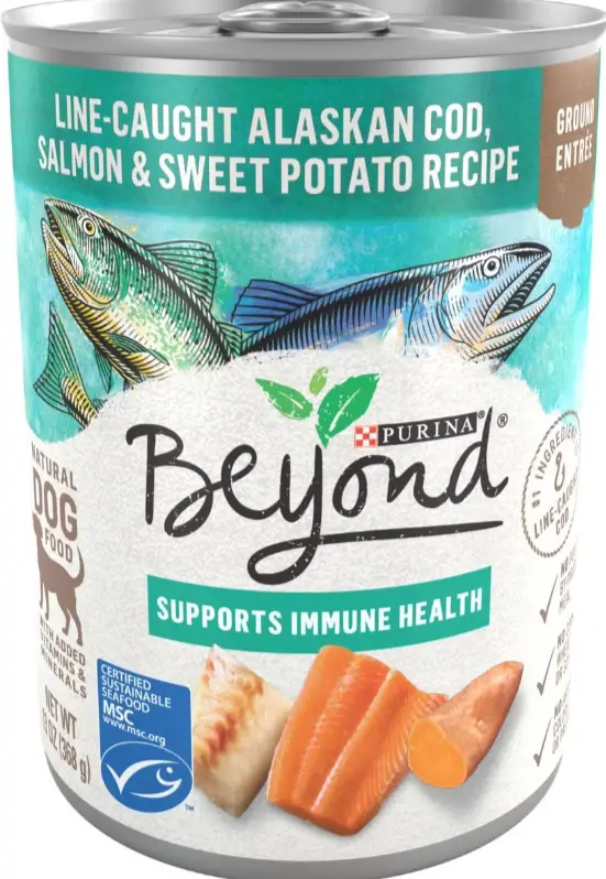 Purina Beyond Alaskan Cod, Salmon & Sweet Potato Grain-Free Canned Dog Food